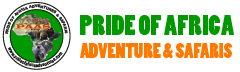 Pride of Africa Adventures & Safaris Logo