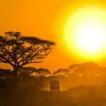 masai mara safari