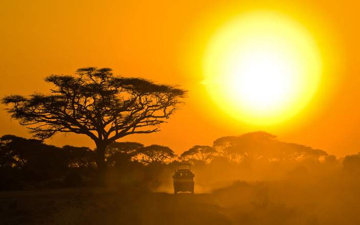 masai mara safari