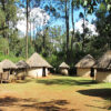 Best Tours and Travel Companies in Kenya
