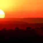 Sunrise during 3 days Masai Mara budget safari
