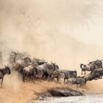 masai mara migration