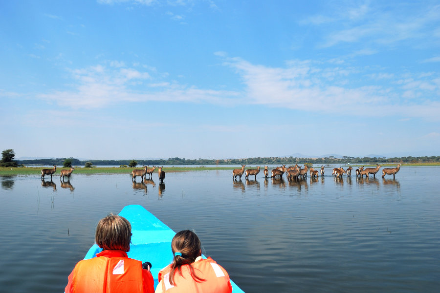 Lake-Naivasha