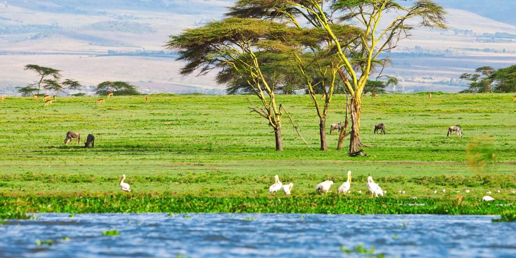 lake-naivasha3