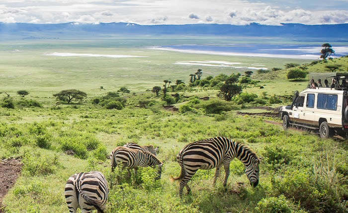 ngorngoro2