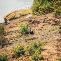 best tours and travel agency in kenya